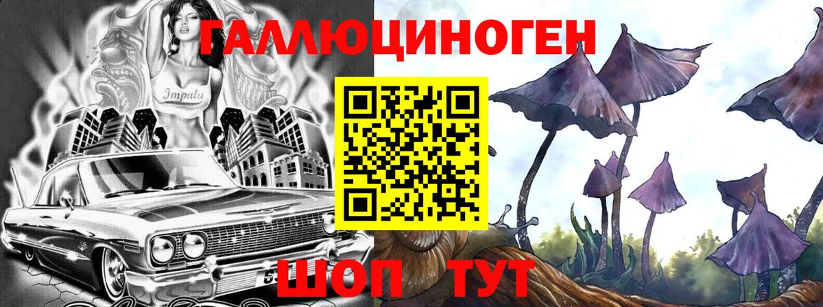 Псилоцибиновые грибы GOLDEN TEACHER  Галлюциногенные грибы мухоморы  Углич  купить закладку  Вход с VPN 